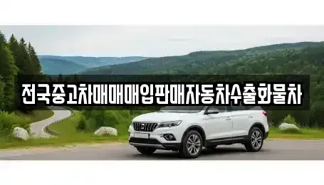 강원특별자치도 속초시 영랑동 중고차매입 전문 전국중고차매매매입판매자동차수출화물차
