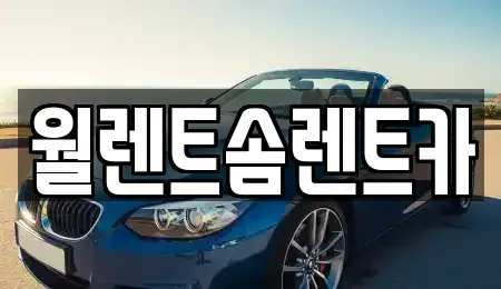강원특별자치도 원주시 우산동 렌트카 전문 월렌트솜렌트카