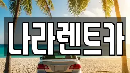 강원특별자치도 원주시 판부면 렌트카 전문 나라렌트카