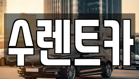 강원특별자치도 원주시 판부면 렌트카 전문 수렌트카