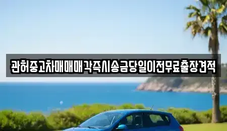 강원특별자치도 원주시 판부면 중고차매매 전문 관허중고차매매매각즉시송금당일이전무료출장견적
