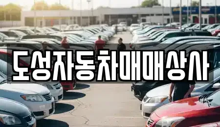 강원특별자치도 인제군 남면 중고차매매 전문 도성자동차매매상사