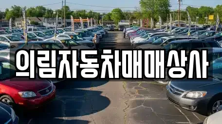 강원특별자치도 평창군 미탄면 중고차매매,단기렌트카,중고차매입,장기렌트카,중고차,렌트카