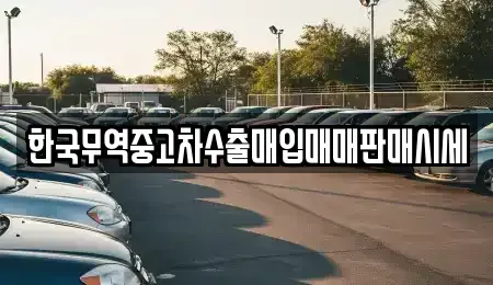 강원특별자치도 평창군 미탄면 중고차매매 전문 한국무역중고차수출매입매매판매시세