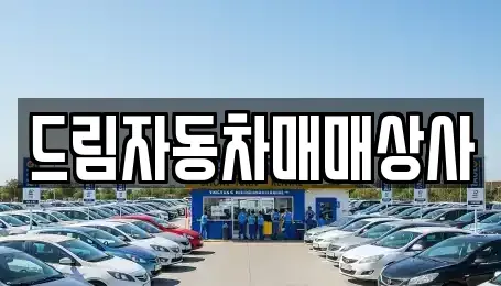 강원특별자치도 홍천군 화촌면 중고차 전문 드림자동차매매상사