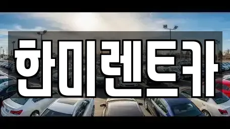 경기 고양시 일산동구 중산동 렌트카 전문 한미렌트카
