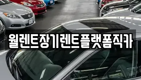 경기 고양시 일산동구 중산동 장기렌트카 전문 월렌트장기렌트플랫폼직카