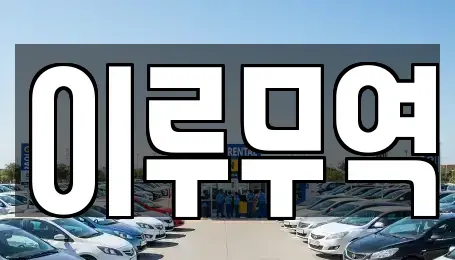 경기 고양시 일산동구 중산동 중고차 전문 이루무역