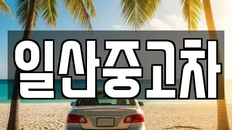 경기 고양시 일산동구 중산동 중고차 전문 일산중고차