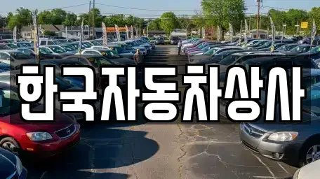 경기 고양시 일산동구 중산동 중고차 전문 한국자동차상사