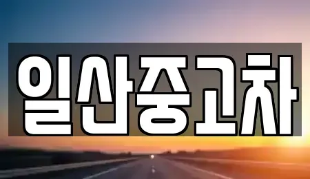경기 고양시 일산동구 중산동 중고차매매 전문 일산중고차
