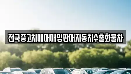 경기 고양시 일산동구 중산동 중고차매매 전문 전국중고차매매매입판매자동차수출화물차