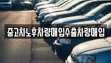 경기 고양시 일산동구 중산동 중고차매입 전문 중고차노후차량매입수출차량매입