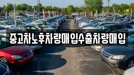 경기 고양시 일산동구 중산동 중고차매입 전문 중고차노후차량매입수출차량매입