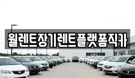경기 고양시 일산동구 지영동 렌트카 전문 월렌트장기렌트플랫폼직카