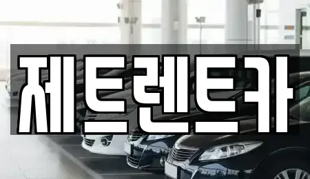 경기 고양시 일산동구 지영동 렌트카 전문 제트렌트카