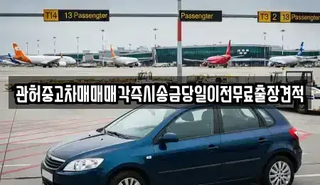 경기 고양시 일산동구 지영동 중고차 전문 관허중고차매매매각즉시송금당일이전무료출장견적