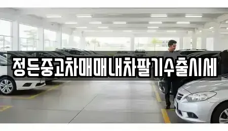 경기 고양시 일산동구 지영동 중고차 전문 정든중고차매매내차팔기수출시세