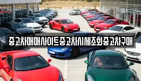 경기 고양시 일산동구 지영동 중고차 전문 중고차매매사이트중고차시세조회중고차구매