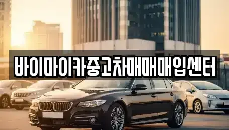 경기 고양시 일산동구 지영동 중고차매입 전문 바이마이카중고차매매매입센터