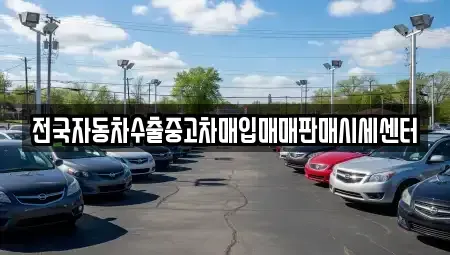 경기 고양시 일산동구 지영동 중고차매입 전문 전국자동차수출중고차매입매매판매시세센터