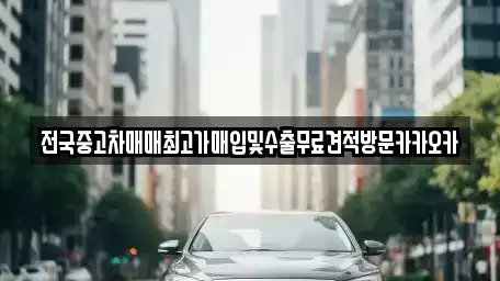 경기 고양시 일산동구 지영동 중고차매입 전문 전국중고차매매최고가매입및수출무료견적방문카카오카