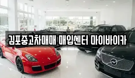 경기 김포시 구래동 중고차 전문 김포중고차매매 매입센터 마이바이카