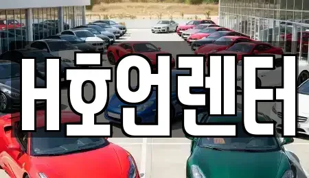 경기 김포시 단기렌트카 전문 H호언렌터