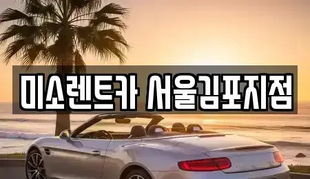 경기 김포시 렌트카 전문 미소렌트카 서울김포지점