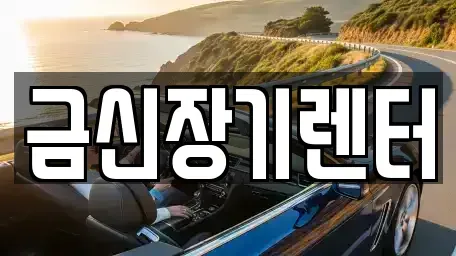 경기 김포시 장기렌트카 전문 금신장기렌터