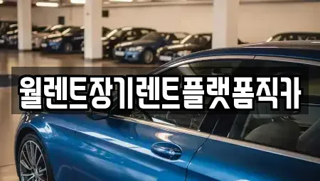 경기 김포시 장기렌트카 전문 월렌트장기렌트플랫폼직카