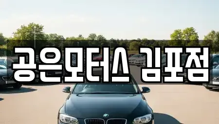 경기 김포시 중고차 전문 공은모터스 김포점