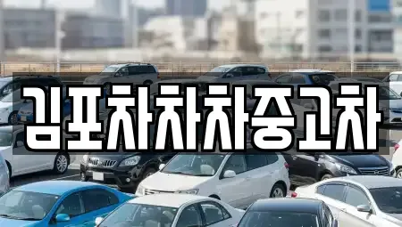 경기 김포시 중고차 전문 김포차차차중고차