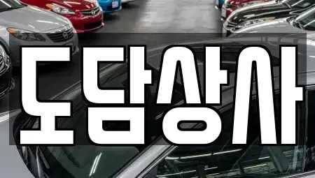 경기 김포시 중고차 전문 도담상사