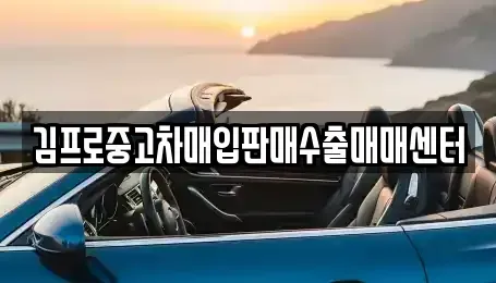경기 김포시 중고차매입 전문 김프로중고차매입판매수출매매센터