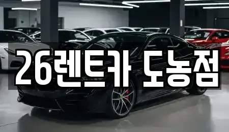 경기 남양주시 지금동 장기렌트카 전문 26렌트카 도농점