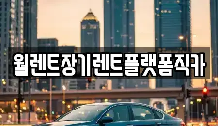 경기 남양주시 지금동 장기렌트카 전문 월렌트장기렌트플랫폼직카
