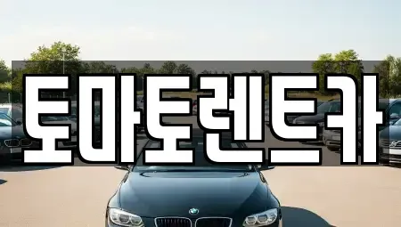 경기 동두천시 지행동 렌트카 전문 토마토렌트카
