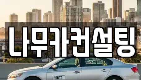 경기 부천시 원미구 약대동 장기렌트카 전문 나무카컨설팅