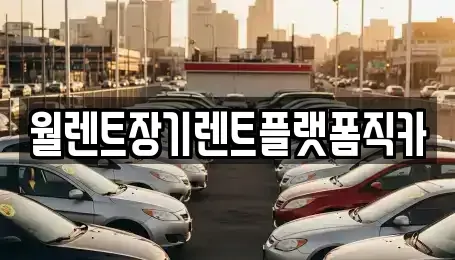 경기 부천시 원미구 약대동 장기렌트카 전문 월렌트장기렌트플랫폼직카