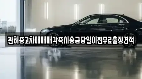 경기 부천시 원미구 약대동 중고차 전문 관허중고차매매매각즉시송금당일이전무료출장견적