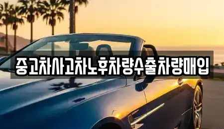 경기 부천시 원미구 약대동 중고차매입 전문 중고차사고차노후차량수출차량매입