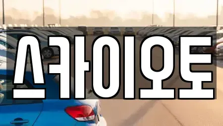 경기 부천시 원미구 중동 단기렌트카 전문 스카이오토