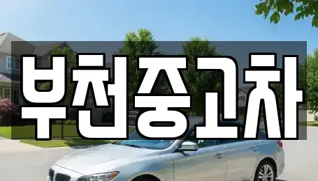 경기 부천시 중고차 전문 부천중고차