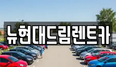 경기 성남시 수정구 사송동 렌트카 전문 뉴현대드림렌트카