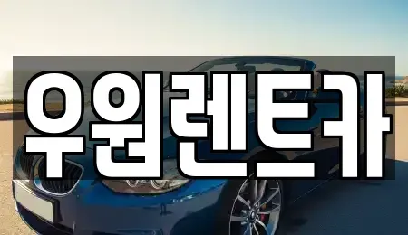 경기 수원시 권선구 곡반정동 렌트카 전문 우원렌트카
