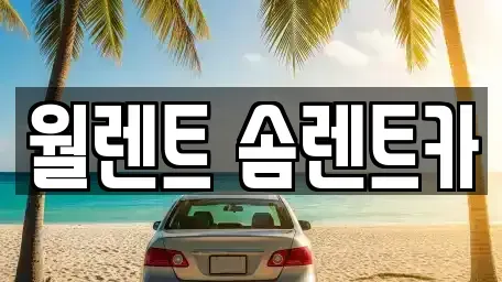 경기 수원시 권선구 곡반정동 렌트카 전문 월렌트 솜렌트카