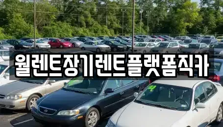 경기 수원시 권선구 곡반정동 장기렌트카 전문 월렌트장기렌트플랫폼직카