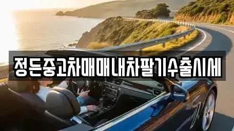 경기 수원시 권선구 곡반정동 중고차매매 전문 정든중고차매매내차팔기수출시세