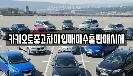 경기 수원시 권선구 탑동 중고차매입 전문 카카오토중고차매입매매수출판매시세